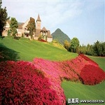 龍王溪小鎮(zhèn)