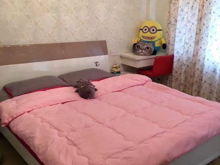 豐虹路商住樓