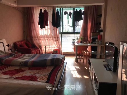 翠柳苑朝南，豪華裝修單身公寓只要31萬一口價。 